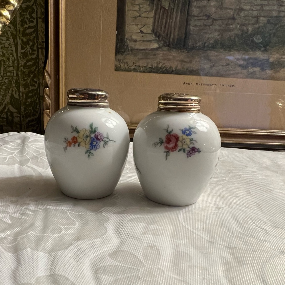 Vintage Thomas Germany Porcelain Salt & Pepper Shakers – Floral
